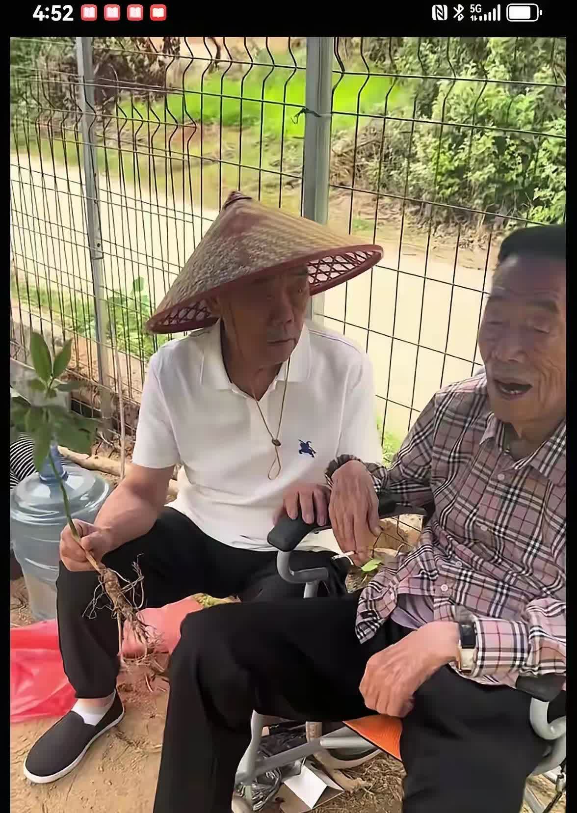 人出名了也会有烦恼，这不94岁的杨少华还被儿子拉出来吸金去参加一个农家院的开业庆