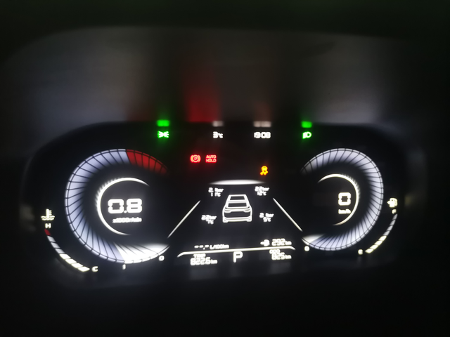 刚买半个月四代帝豪
晚上刚启动就出现这两个故障灯是咋回事啊，一个是电子手刹放不下