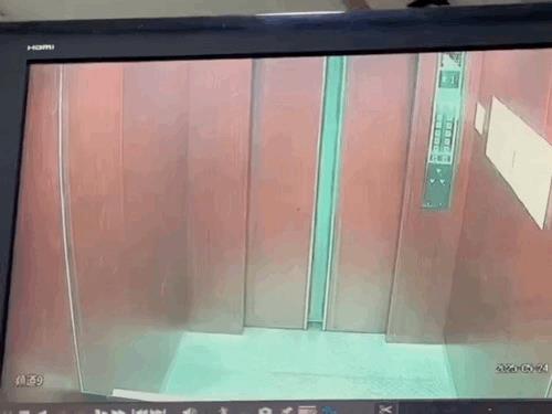小姐姐还好心等了等它，多亏外面戴头盔的按了电梯，要不是有人这家伙没准儿还得追出去
