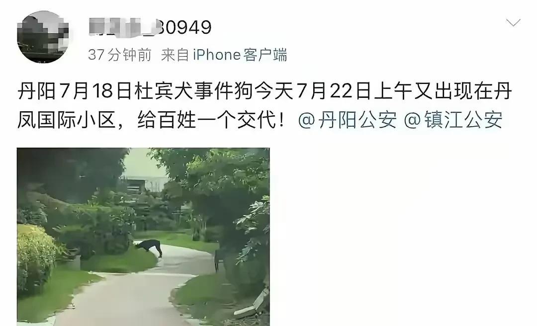 妥善处理？后来小区又出现杜宾犬！
网友透露：7月18日杜宾犬事件狗7月22日上午