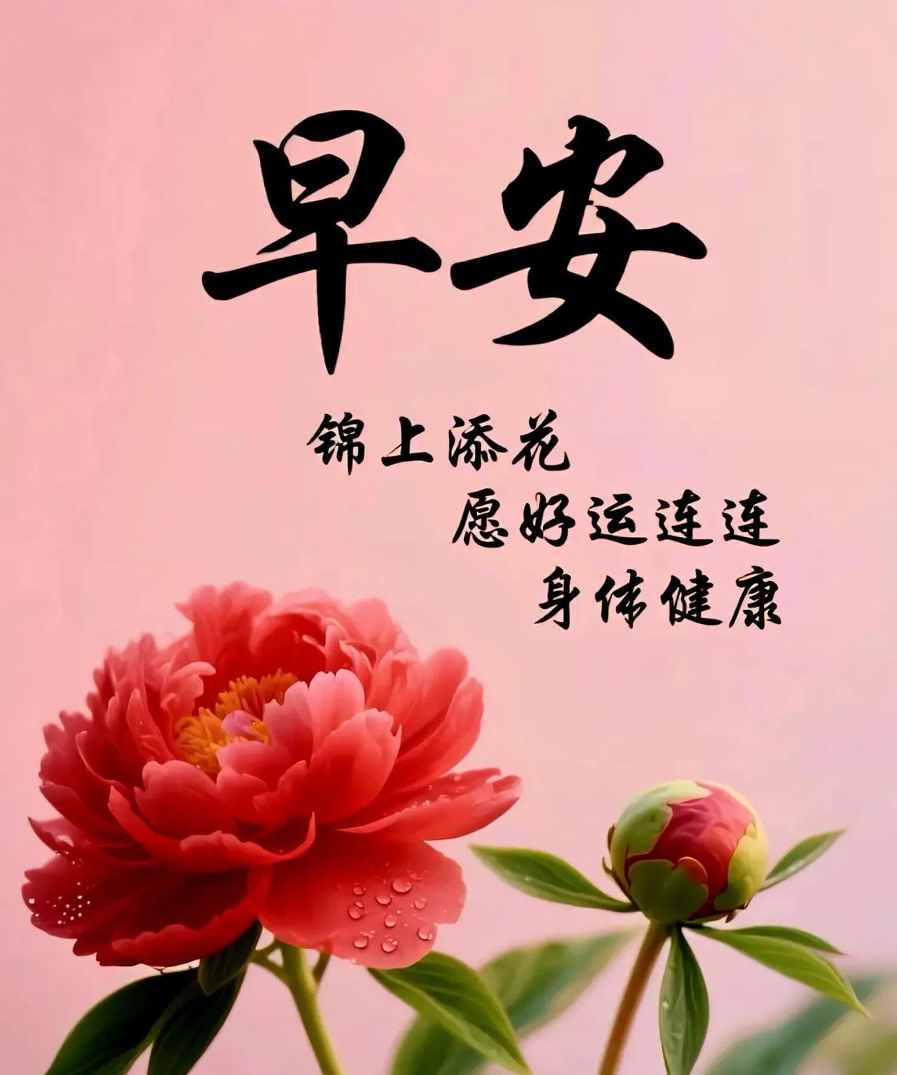早上好！生活如此美好，没有理由烦恼；人生如此美妙，没有理由不笑。愿你：起床舒心，