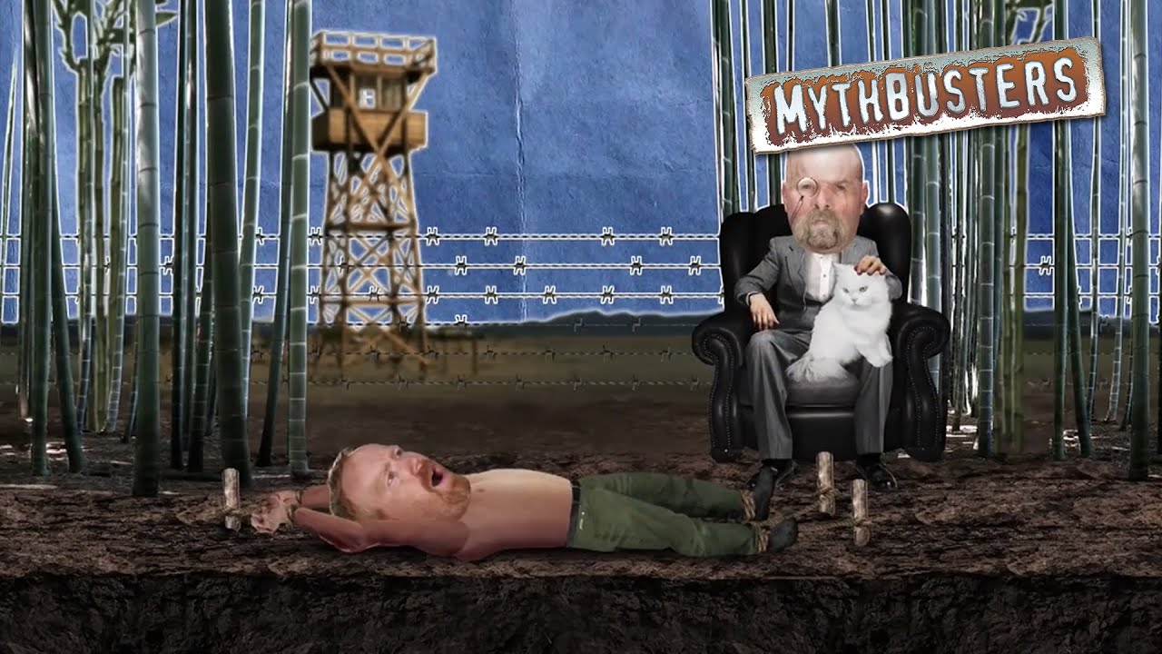 穿透6米路灯向阳而生，竹子生命力有多强？3天就能穿透人的身体