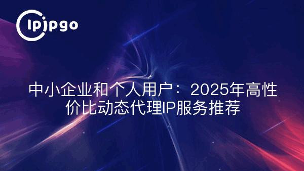 中小企业和个人用户：2025年高性价比动态代理IP服务推荐