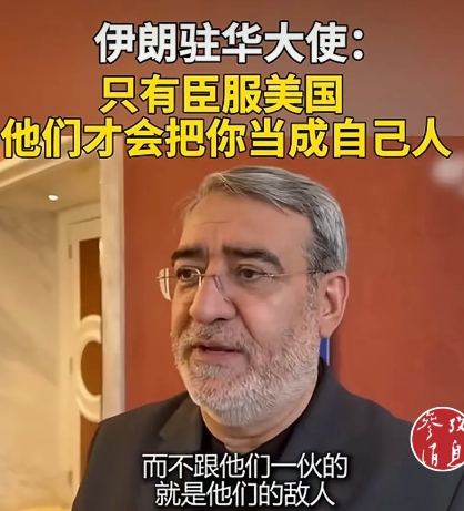 伊朗驻华大使法兹里说，“那些跟美国一伙的，服从美国的以西方国家，美国把它当成自己