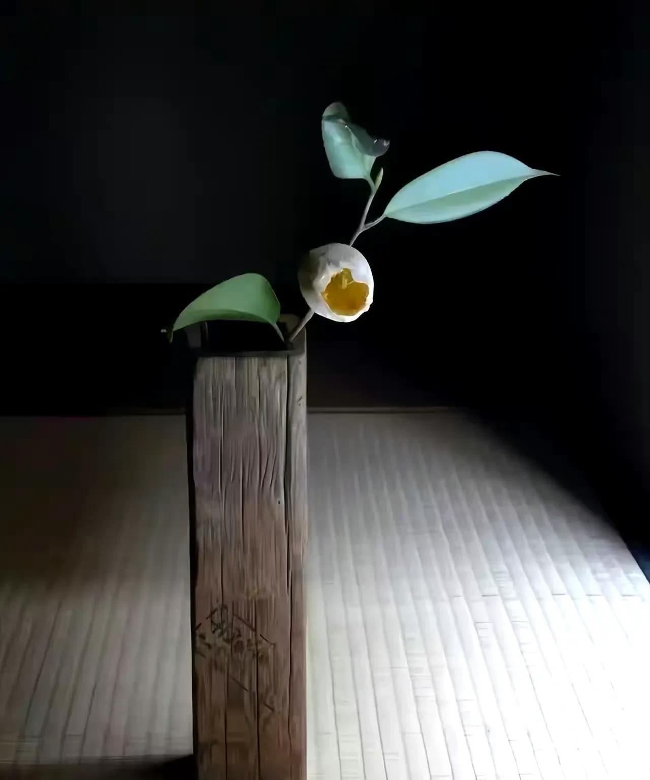 人在不同的年龄段，认知的不同，爱的人就不一样。只是有的人表现出来，有的人因为道德