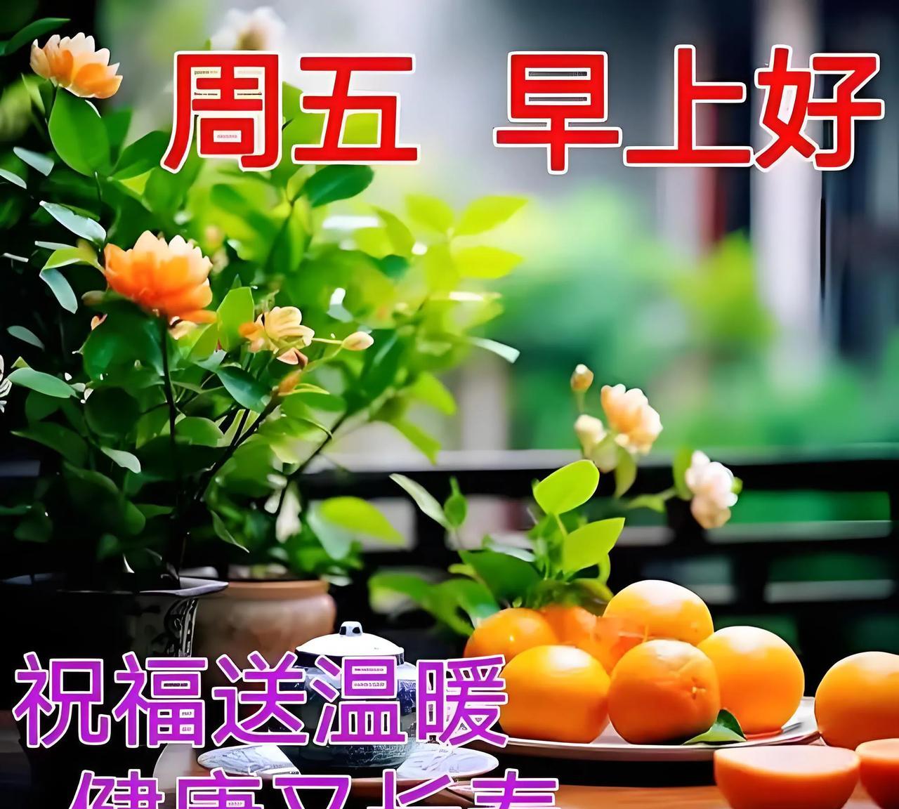 周五释忙，清风入户千般畅。
双休拾趣，好梦盈怀万事安。