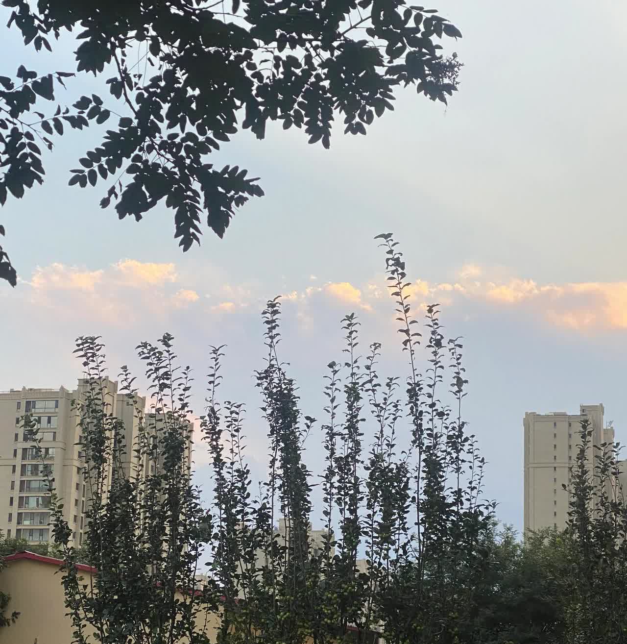 睡着了，醒了一看，全绿。
明天，普京大帝要跟特不靠谱会面，
有什么好会的，说