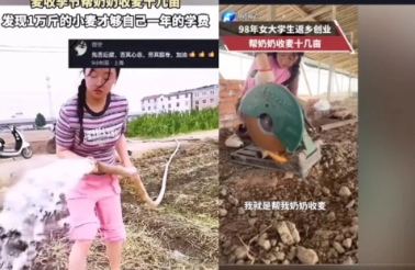泪奔！
女大学生边割麦子边哭：心疼奶奶这把老骨头。

视频中的女大学生一边割着麦