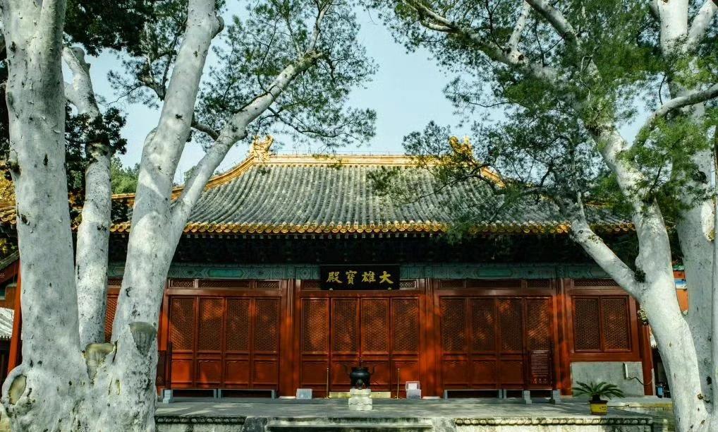 哈哈哈[笑哭]，
神秘的东方力量先整上了[捂脸]，
这地方是明壁画真迹，限流，一