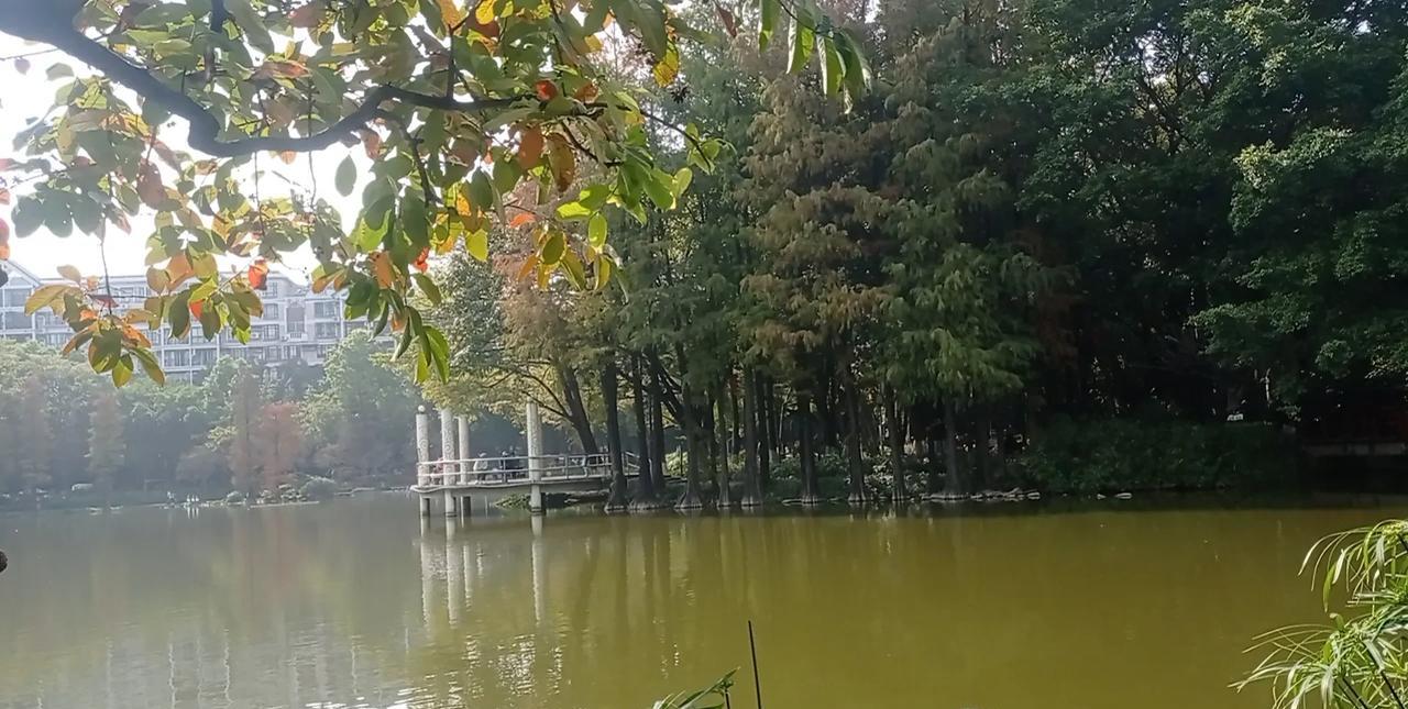 我不相信命运，奈何命运却被一个老太太算得如此精准！
八十年代的农村，尽管很穷，但