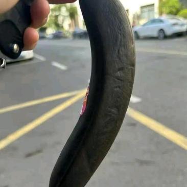 真是让人难以置信，不到五个小时就变成了这样子，简直像是魔术般的变化啊！

