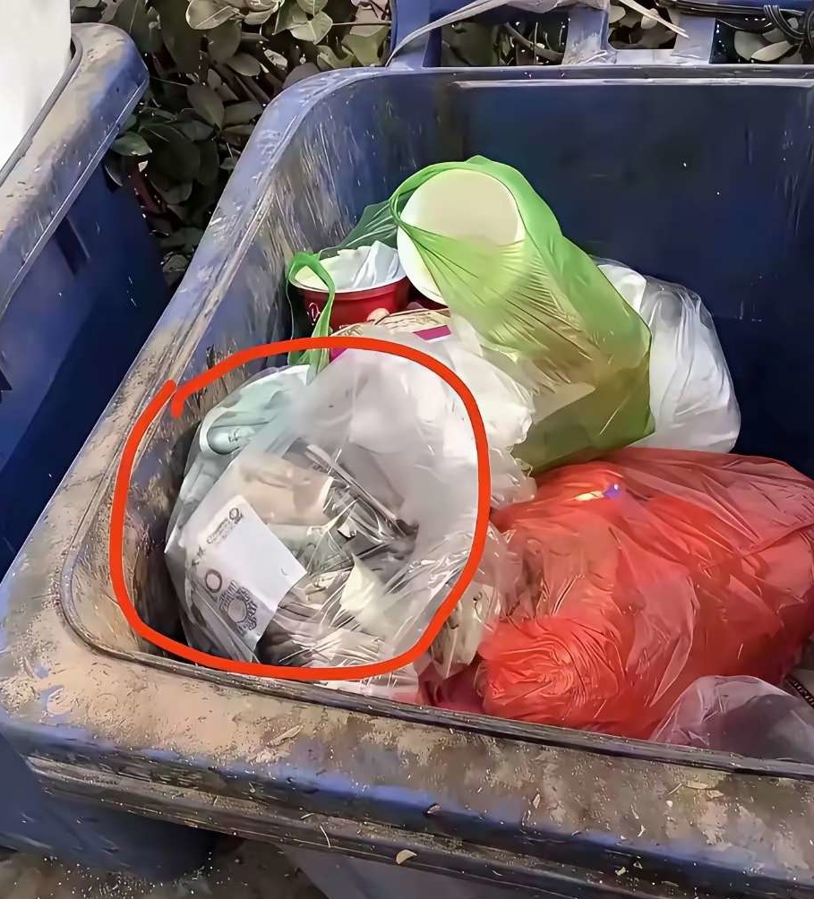 起猛了，垃圾箱里的意外发现，这钱能捡吗？