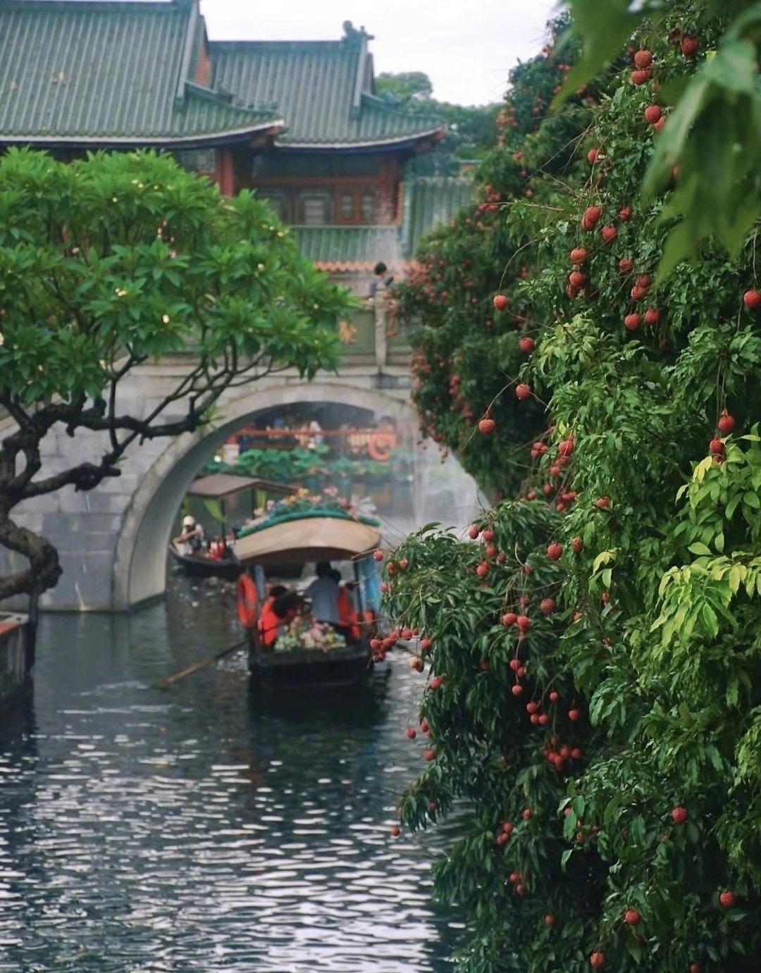 无数的可怜人长期活在单一的信息里，而且是一种完全被扭曲，颠倒的信息，这是导致他们