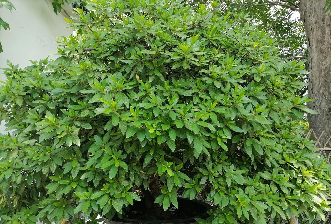 现在越来觉得自己好像没有朋友
在单位里我喜欢独来独往
不想刻意去讨好哪个
也不想