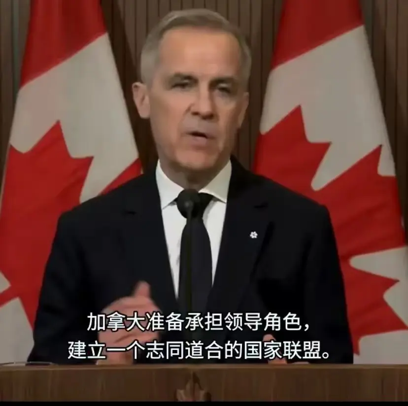 加拿大总理马克·卡尼4月3日表示，如果美国不再愿意发挥领导作用，加拿大将承担这一