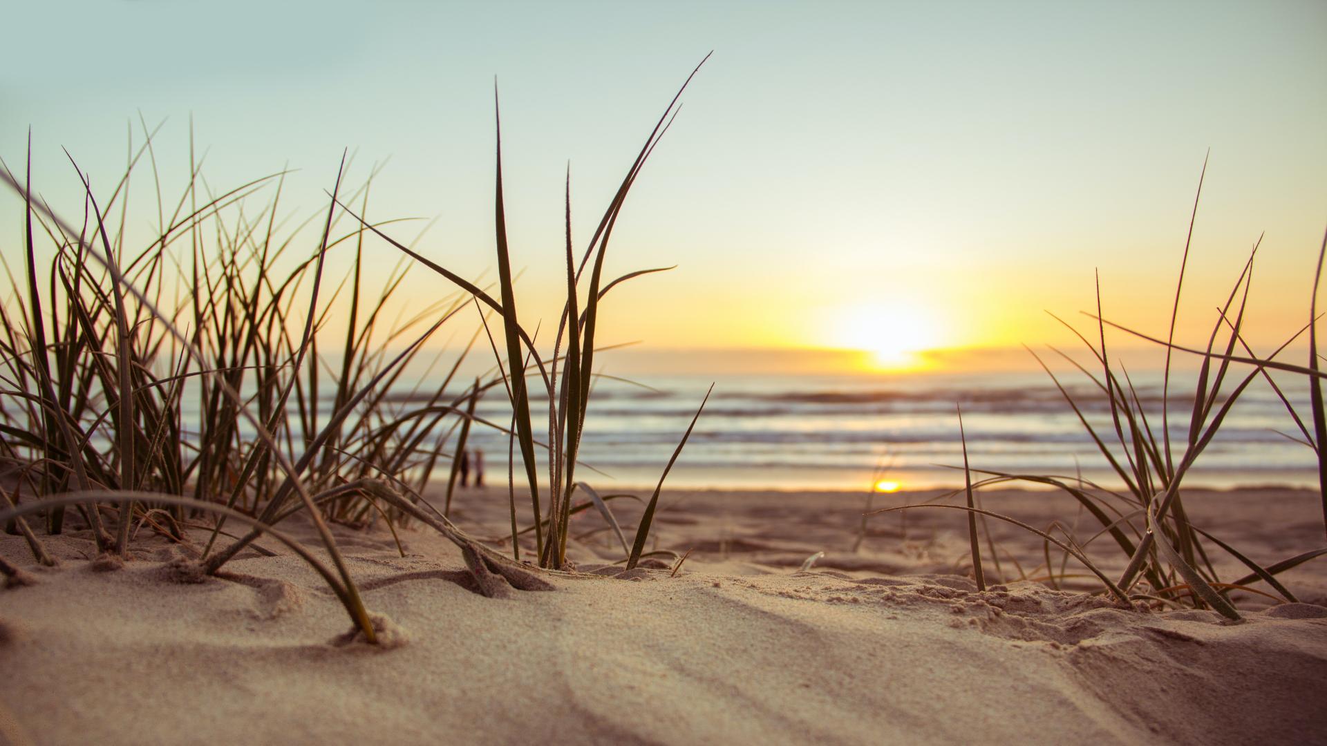 职场沟通中的“表达恐惧”： “怕说错话” 是心病