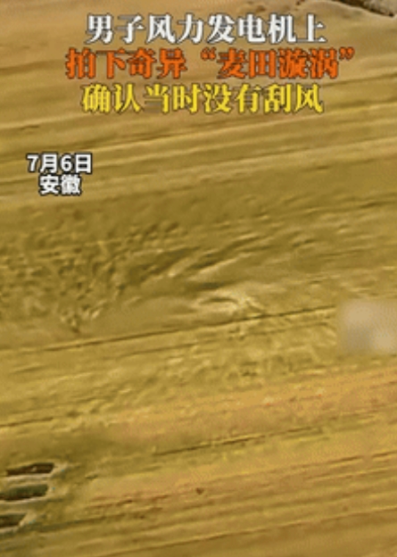 大自然给我们上了一课！”安徽，一男子在风力发电机上工作时，突然发现脚下的麦地里，