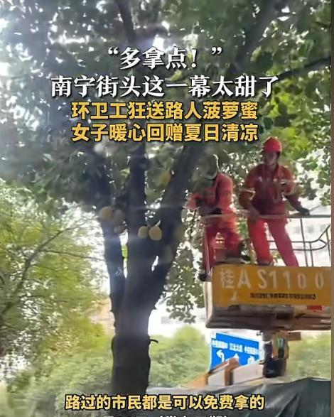 [太阳]6月20日，广西南宁，一女子在一路边发现一大摊菠萝蜜，不仅大个，还基本都