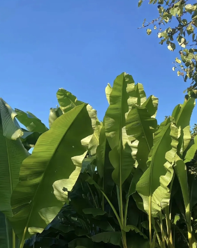 	多哈世乒赛，5月22日凌晨，传来6大没想到
	1，没想到：中国队拿到的单打16