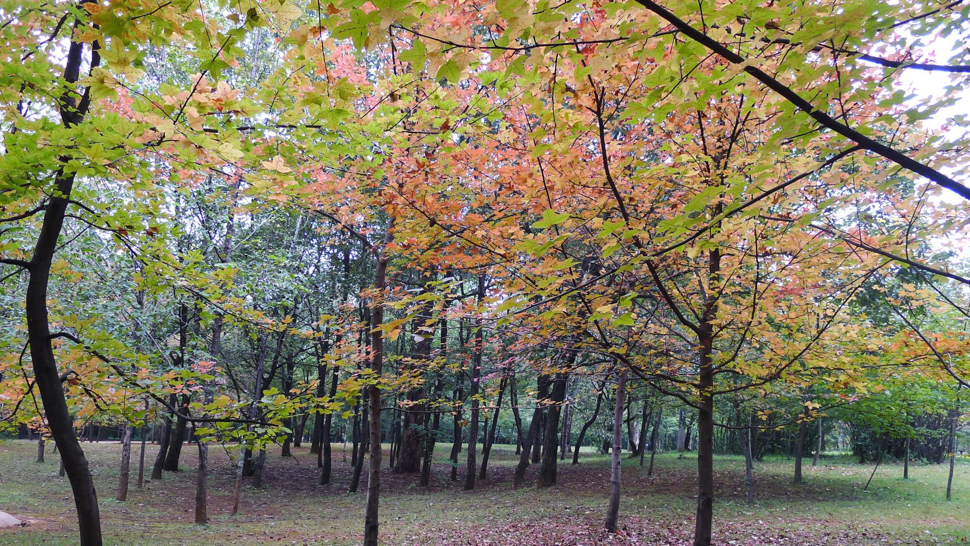 GSB 07-3174-2014六价铬水质标样 环境部监测质控考核盲样