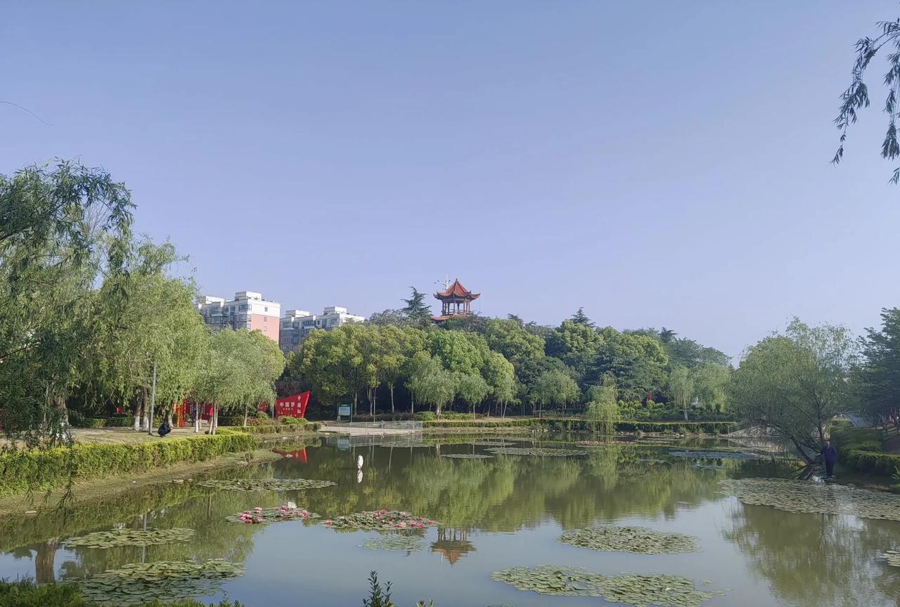 周六回了老家油田，周日上午陪着老娘去公园锻炼身体，顺手拍了几张照片。看着小山顶部