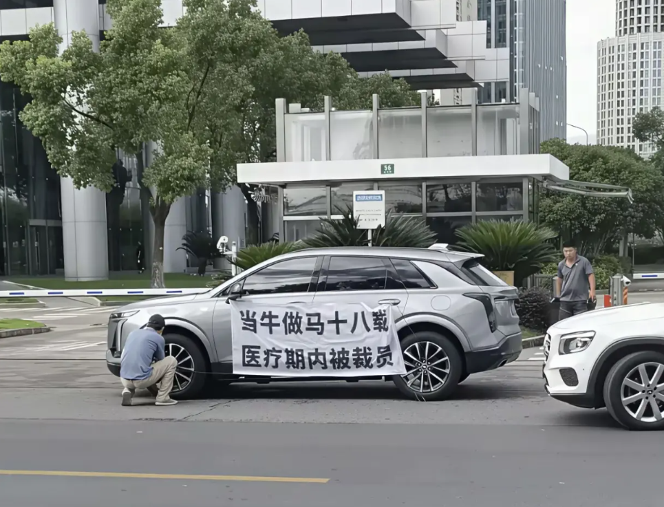 这个横幅太扎眼了！！！！！
