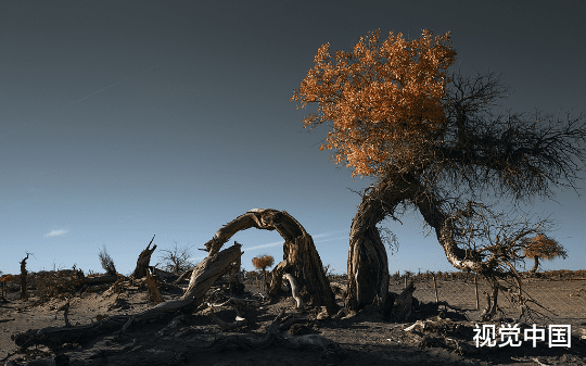 电梯门开一具腐尸倒在我身上