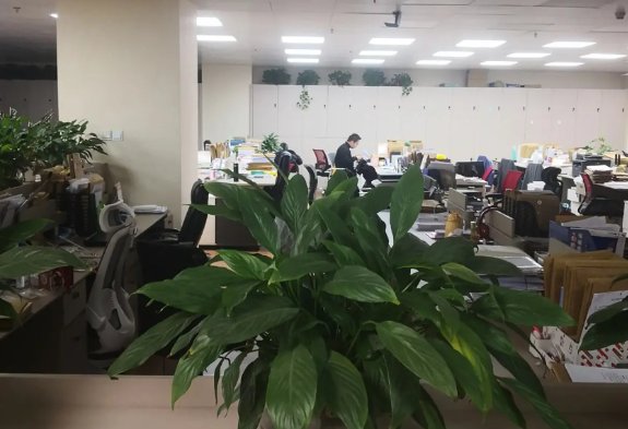 做律师如果没有背景、没有社会资源，就不要有轻松挣钱的想法，唯一能保证自己有较高收