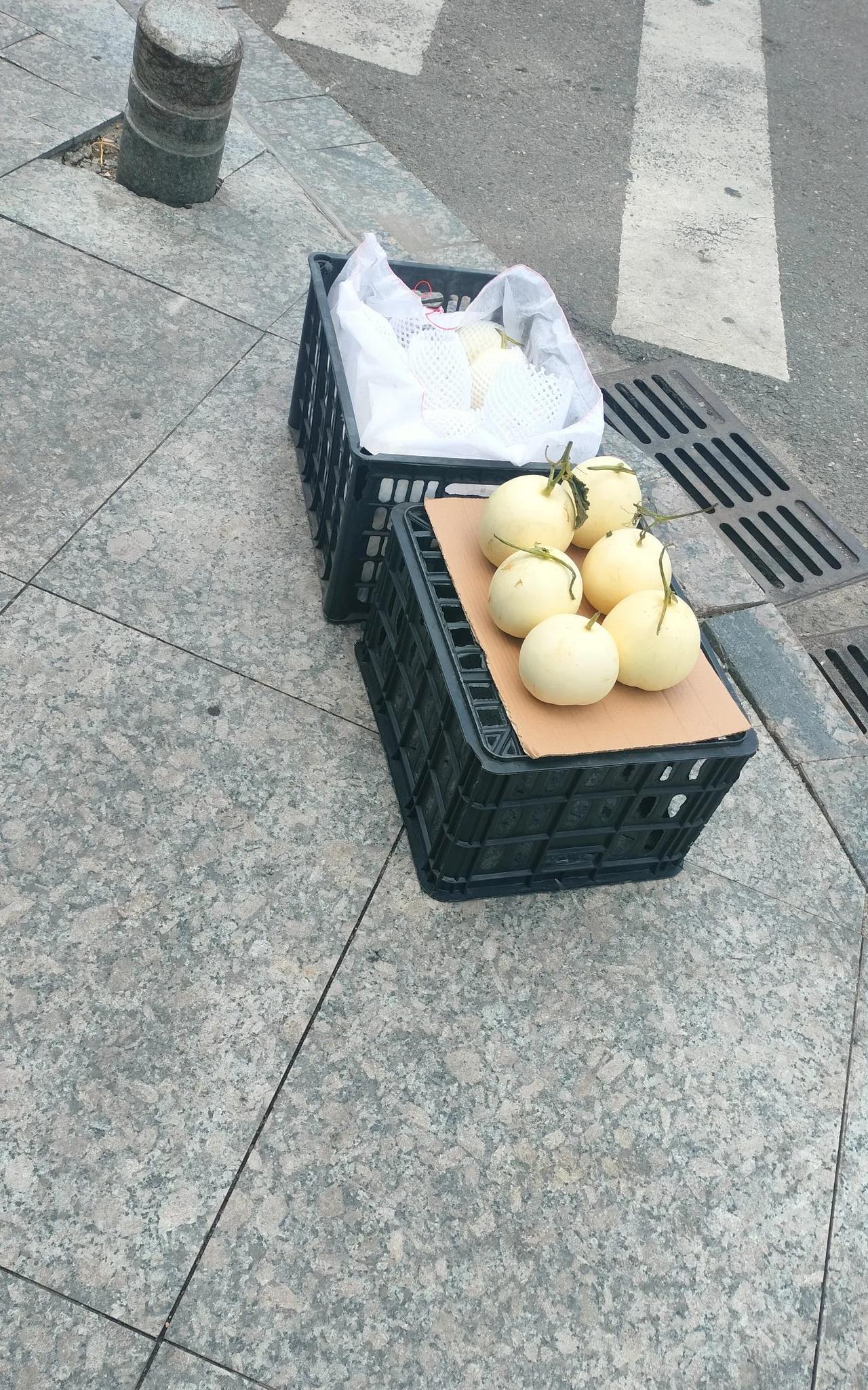 现在真的啥都难做啊，
这个梨瓜现在卖5元，
很多人都嫌贵，
买的希望是10元3斤