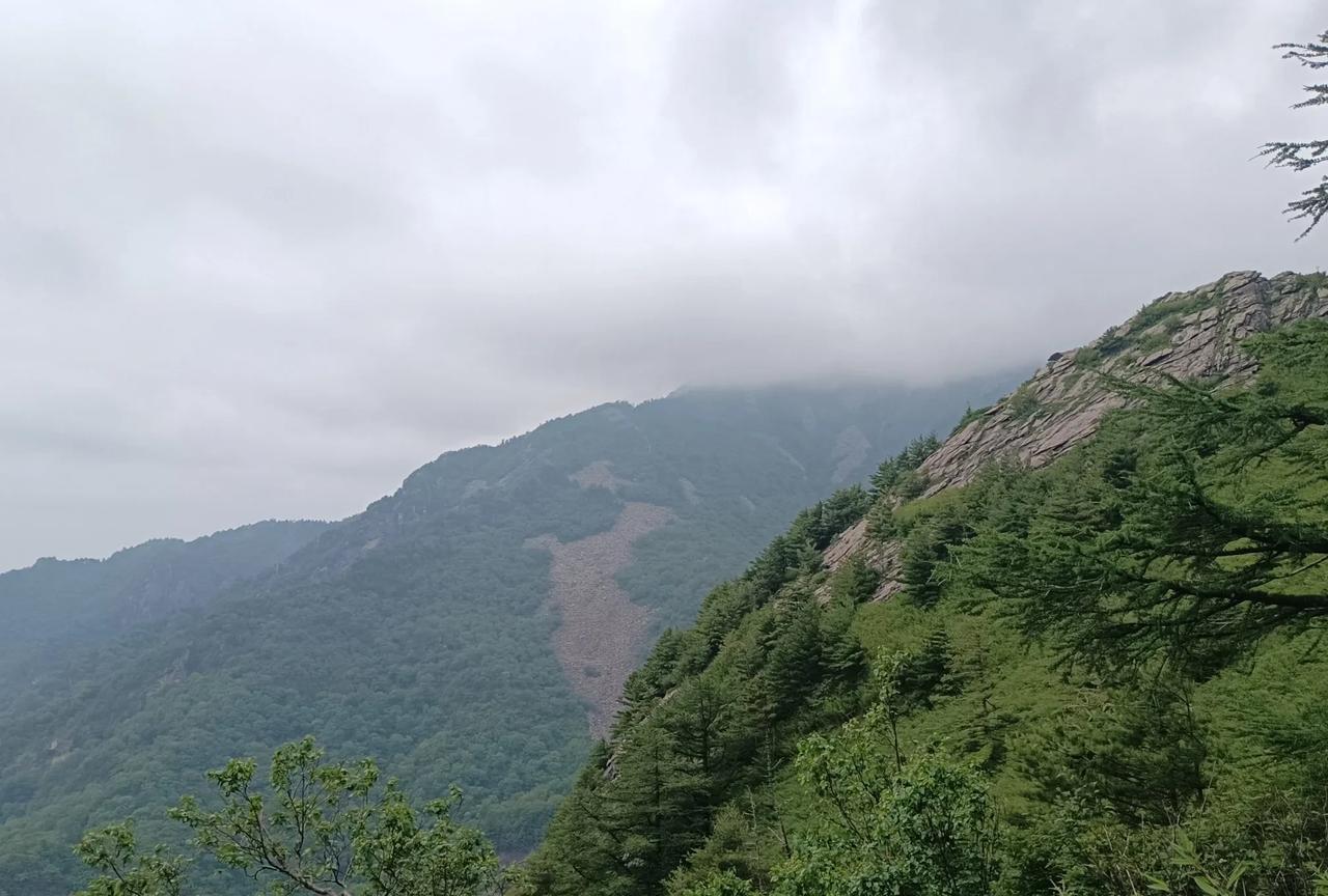 天塌了，娃马上二年级升三年级，结果得到消息，负责任又有教学经验的班主任语文老师被