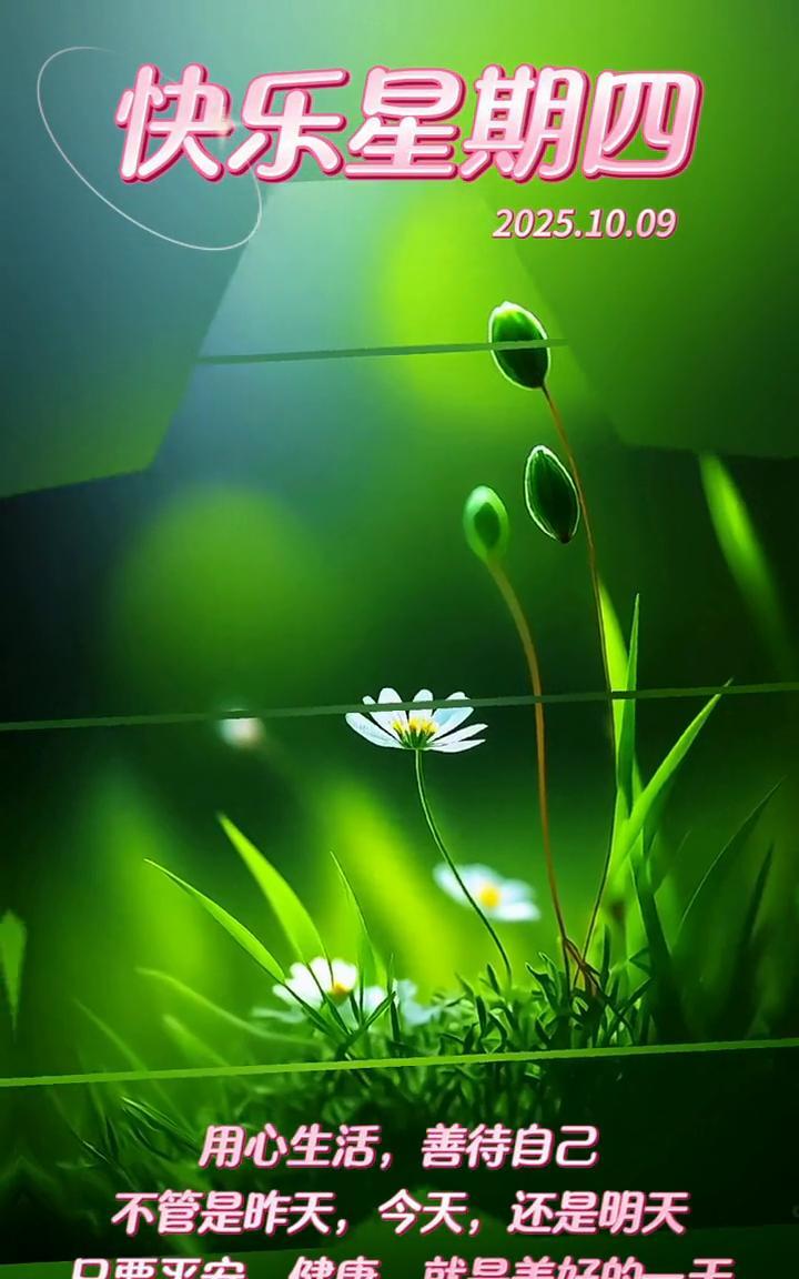 快乐星期四。
用心生活，善待自己。不管是昨天、今天还是明天，只要平安、健康就是美