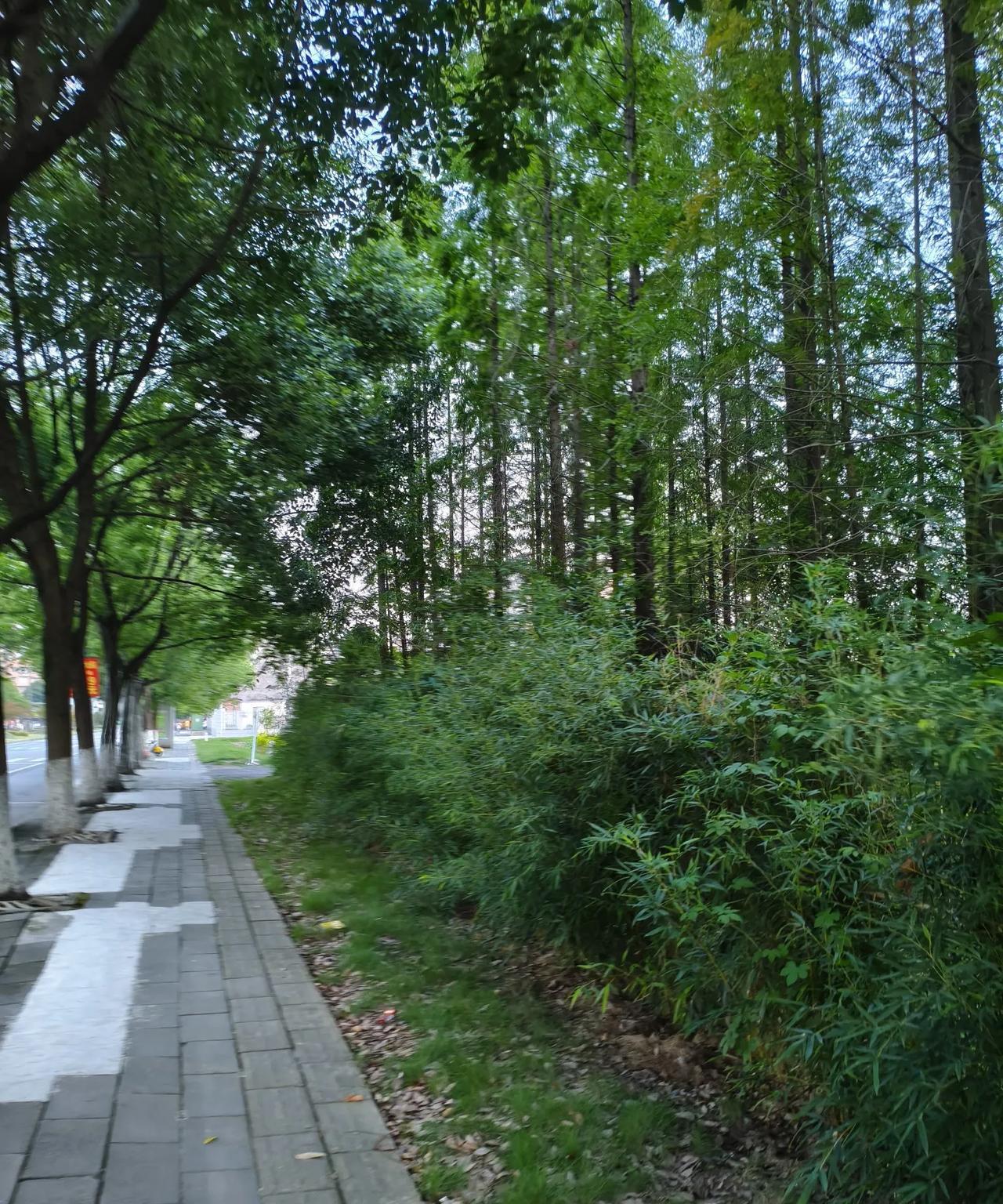 在一个地方生活了五六年，没有交下一个朋友，今天看到一个朋友的一篇文章。