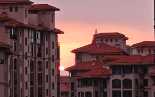 报告，我家天师是紫袍