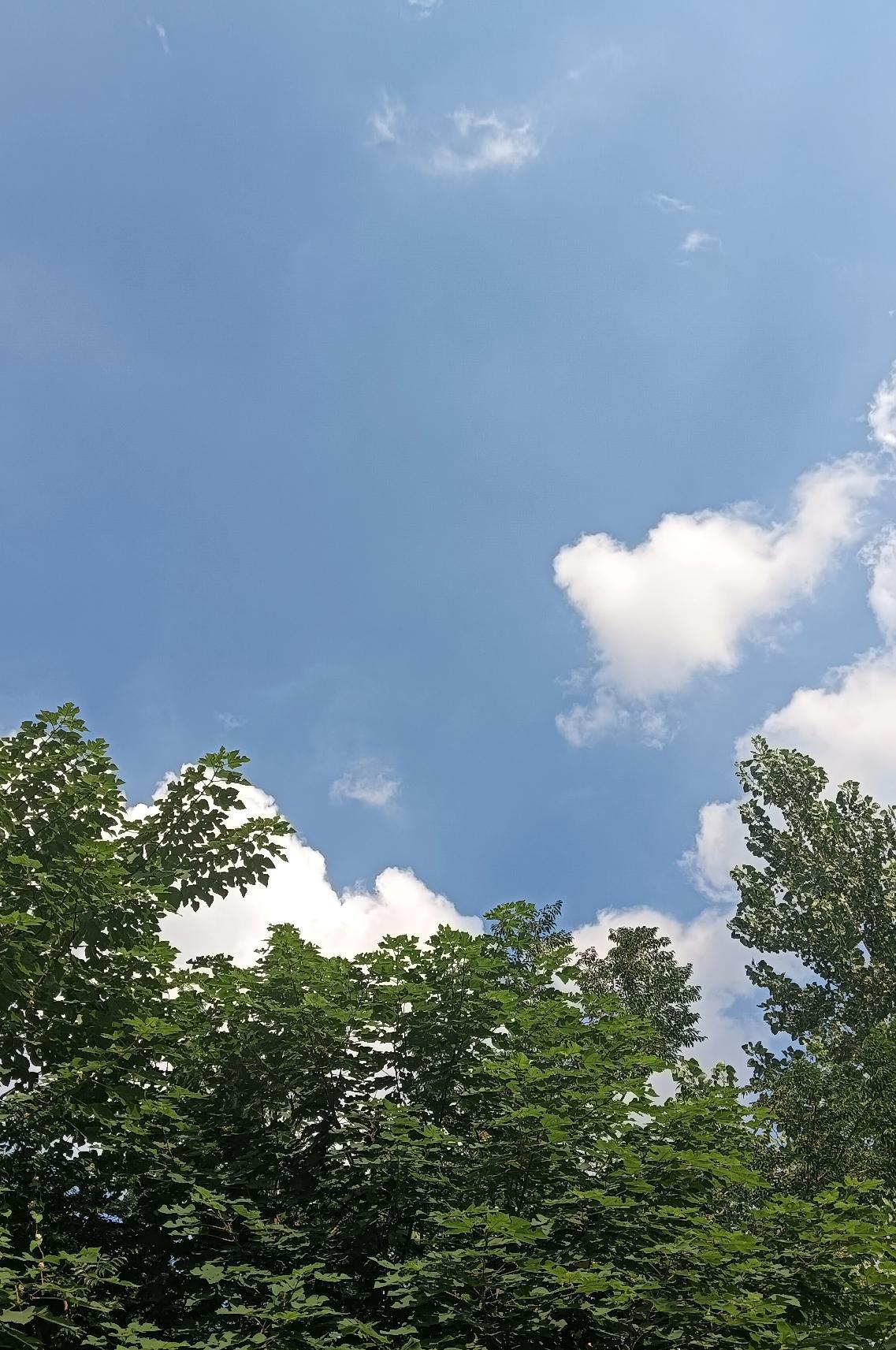理发后我回到家，孙女看了看对我说:″爷爷剪头回来了，爷爷真帅！″
说完她还不忘冲