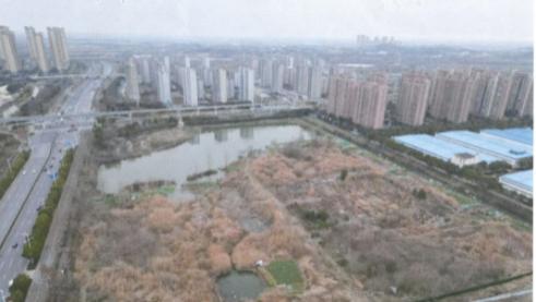 浙江施工方卷入芜湖招商项目纠纷 十二年追讨数千万损失遇困