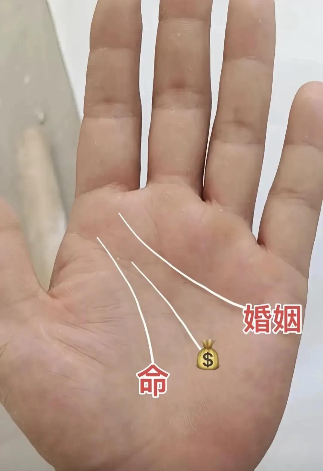 这个怎么看？[看]