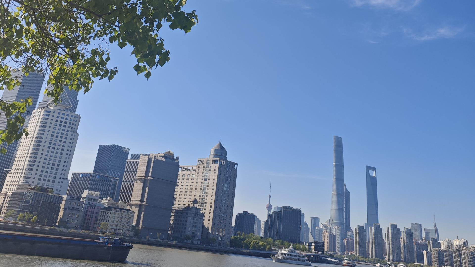 不知道这个“新上海人”，现在有没有把上海当做自己的家了呢？