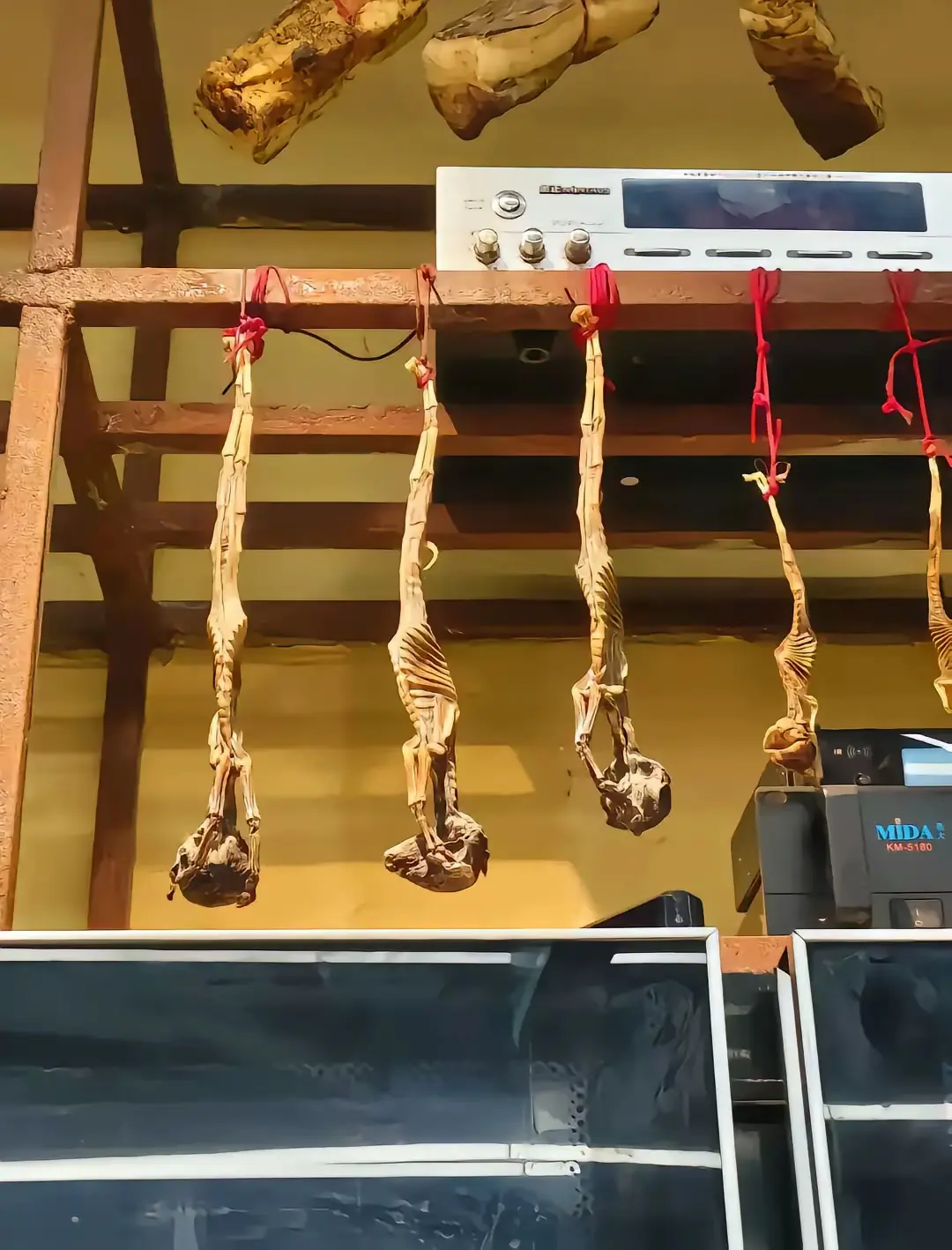 徐州烧烤店发现的，这是啥？
