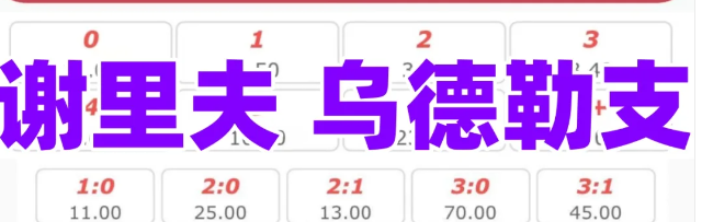  谢里夫VS乌德勒支前瞻

战术体系：空间压缩与反击效率
 ​​谢里夫（5-4-