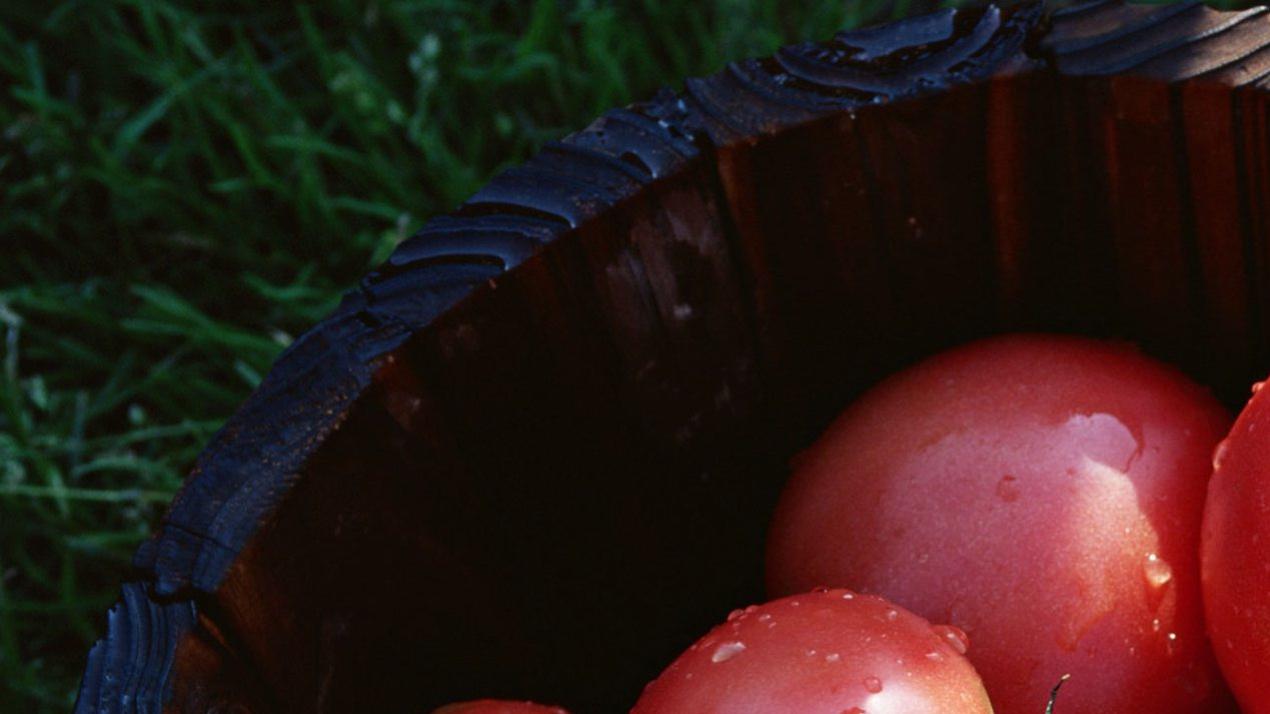 15天丰收在握，浇水智慧，大豆抗旱策略，水分管理