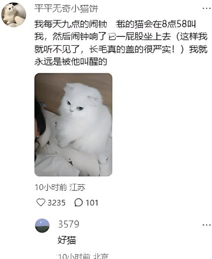 我就永远是被他叫醒的