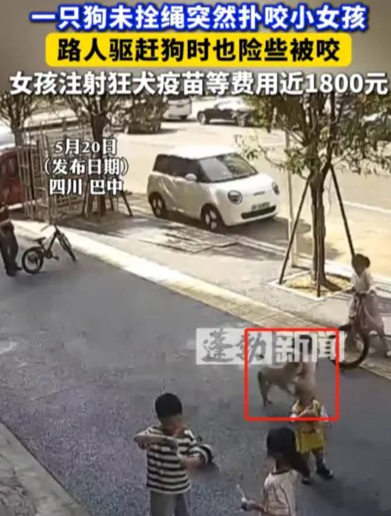 “严查到底！”5月18日，四川巴中，一群孩子在路边玩耍时，突然窜出一条没有栓绳的