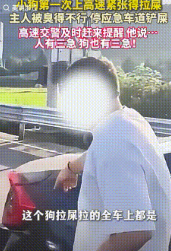 “人有三急，狗也有三急”！浙江杭州，男子拉着自己的狗上高速，因为狗是第一次上高速