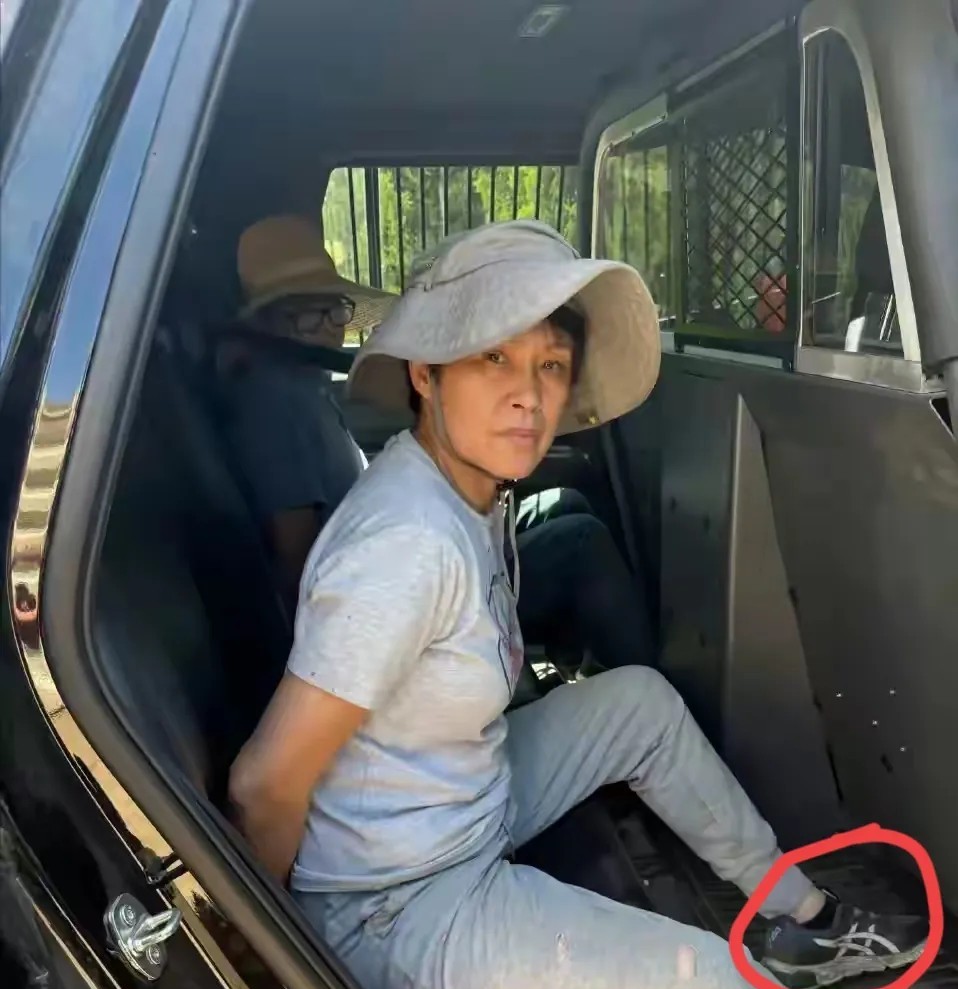 真是丢人丢到国外了！
听说过出国旅游的，还有出国留学的，还是第一次听说组团出国偷