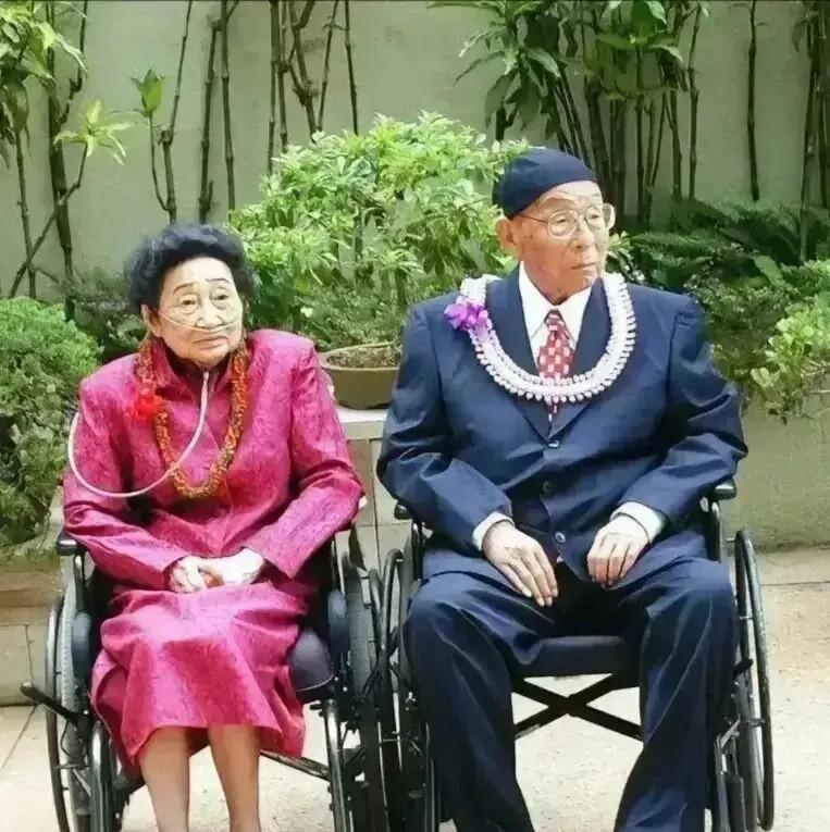 2000年6月3日，病重的赵一荻和张学良的最后一张公开合影，两人均坐在轮椅上，赵