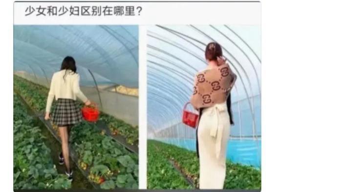 “少女跟少妇，到底有什么区别？”评论区真相了！哈哈哈！