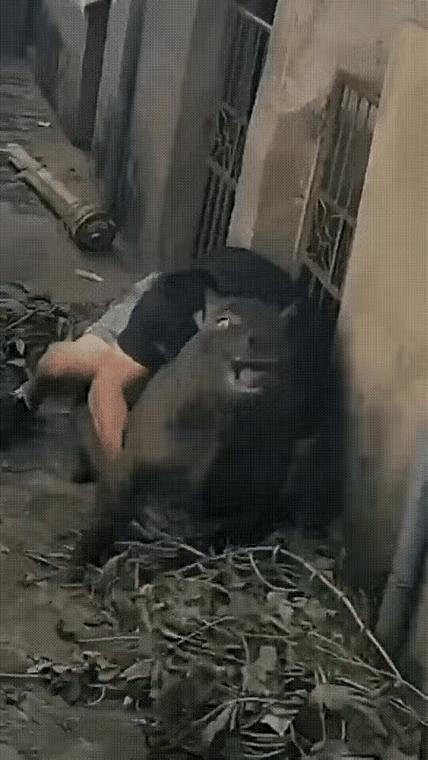 二师兄:
你别抓住我不放了
我不是要离家出走
是我媳妇跟人跑了[流泪]