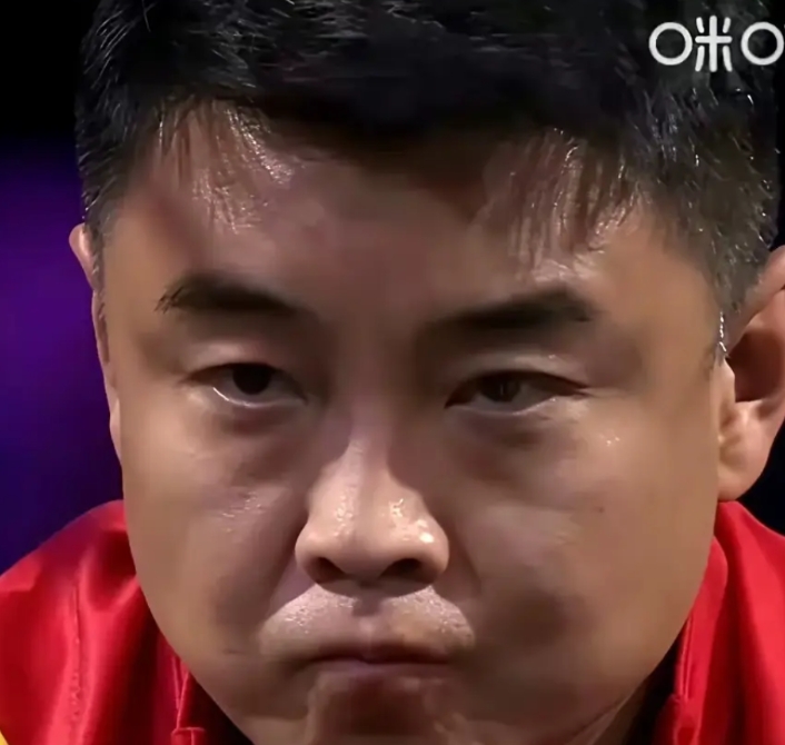 乒乓球教练王皓现在应该是全网最后悔的人
​并不是因为王楚钦在男单决赛中以2:4不