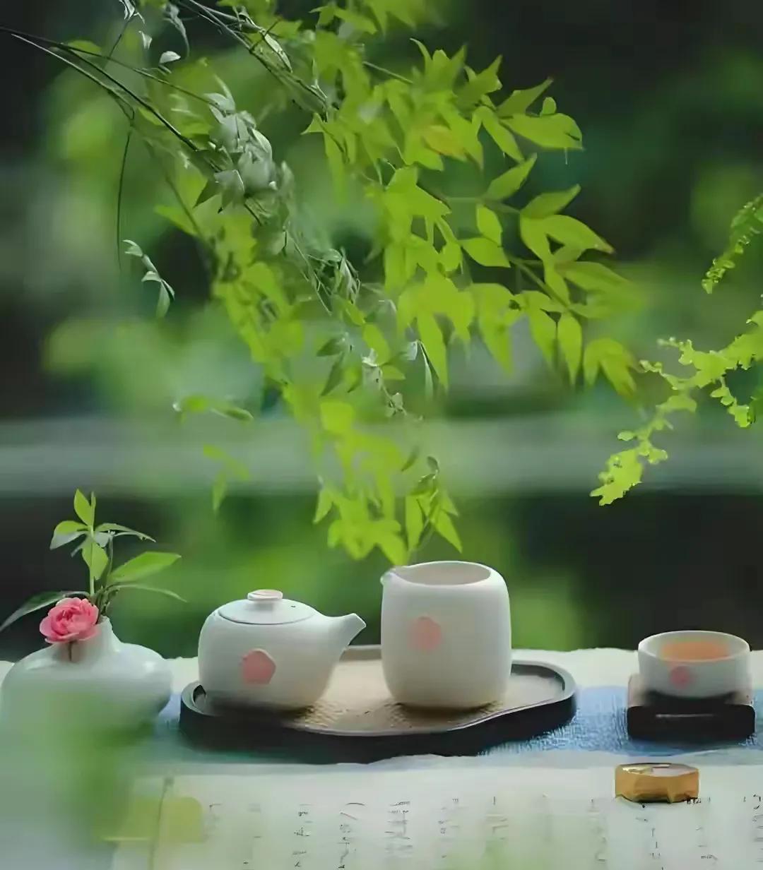 《今日茶事》
水珠在壶底集结时，
我正在数窗格里的光斑。
第三片茶叶舒展的弧度，