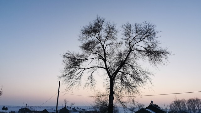 72岁，跟老婆斗嘴五十年，她走后的第四天，我就撑不到晚上